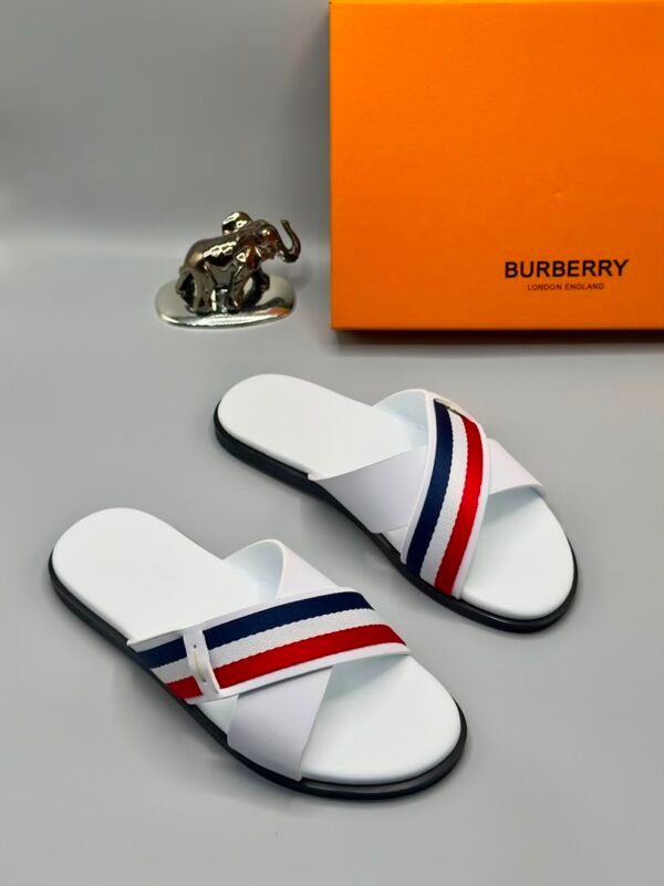 A pair of white slide sandals with red and blue stripes, accompanied by a Burberry box and a silver elephant figurine, showcasing luxury and elegance.